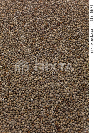 One side of sesame seeds 33536671