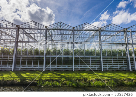 Tomato Greenhouse Harmelen with Clouds 33537426
