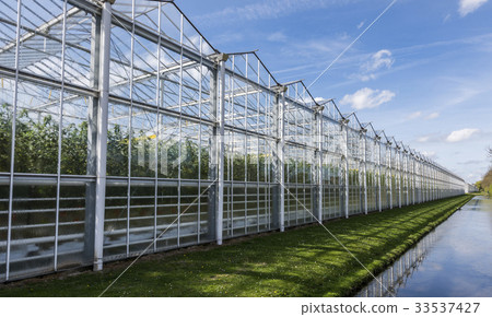 Tomato Greenhouse Harmelen with Ditch 33537427