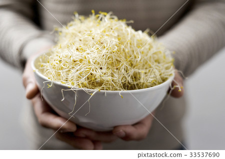 图库照片: man with a bowl of alfalfa sprouts