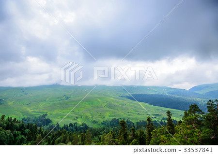 Mountain landscape with snow and forest Mountain landscape with snow and forest 33537841