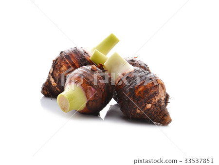 Taro root Taro root 33537851