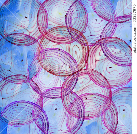 Onion and Ice  background 33537979