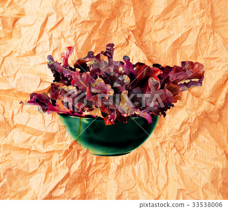 lettuce on background lettuce on background 33538006