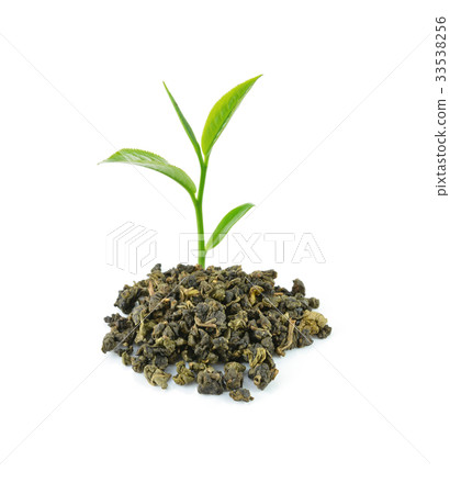 Green tea leaf isolated on white background. 33538256