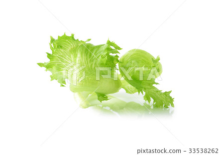 lettuce on white background 33538262