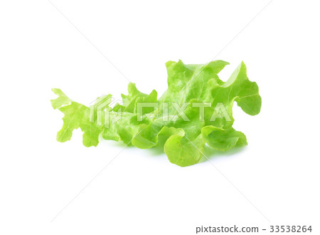 lettuce on white background 33538264