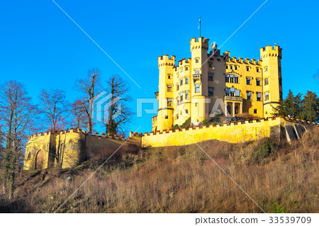Hohenschwangau Castle Schloss in bavarian alps Hohenschwangau Castle Schloss in bavarian alps 33539709