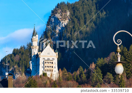 Neuschwanstein Castle in Germany 33539710