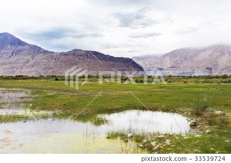 Natural landscape in Nubra valley Natural landscape in Nubra valley 33539724