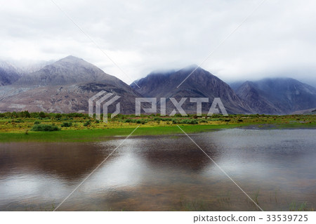 Natural landscape in Nubra valley 33539725