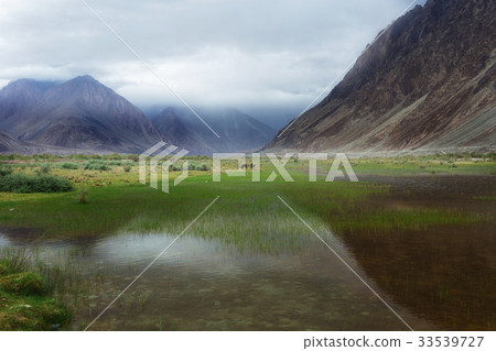 Natural landscape in Nubra valley Natural landscape in Nubra valley 33539727