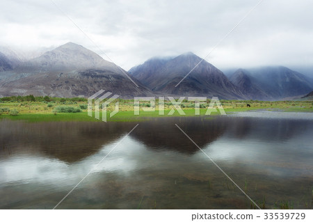 Natural landscape in Nubra valley 33539729