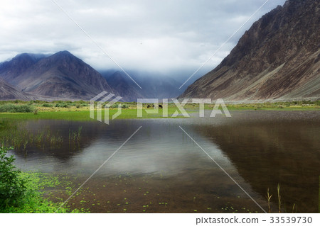 Natural landscape in Nubra valley 33539730