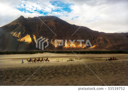 Hunder Sand Dunes of Nubra Valley. Hunder Sand Dunes of Nubra Valley. 33539752