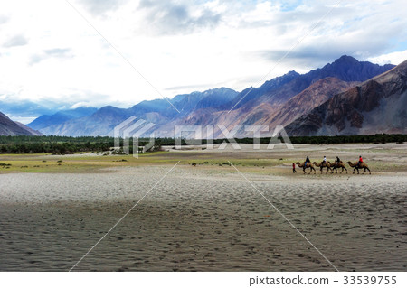 Hunder Sand Dunes of Nubra Valley. 33539755