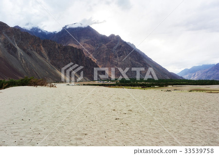 Hunder Sand Dunes of Nubra Valley. 33539758