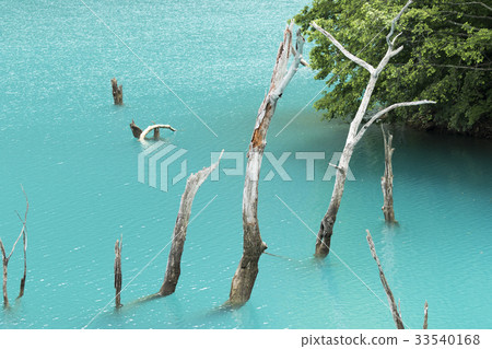 Hidden area of emerald green 33540168