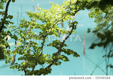 Hidden area of emerald green 33540169