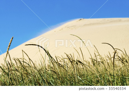 Sand dunes of Rubjerg Knude 33540334