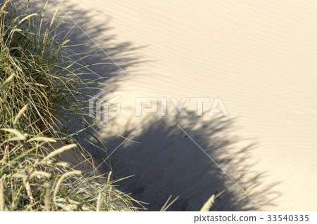 Sand dunes of Rubjerg Knude Sand dunes of Rubjerg Knude 33540335