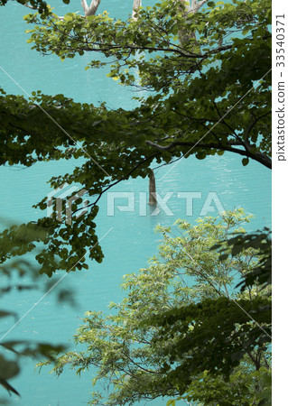 Hidden area of emerald green Hidden area of emerald green 33540371