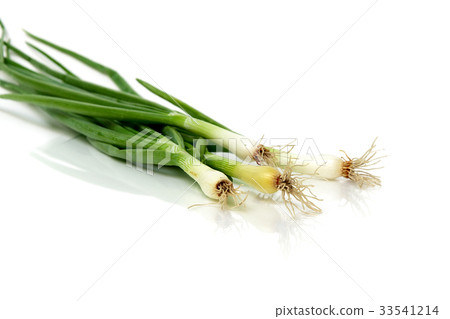 onion isolated on white background 33541214