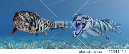 Dakosaurus attacks Dunkleosteus Dakosaurus attacks Dunkleosteus 33541434
