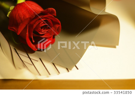玫瑰,玫瑰花,花 33541850