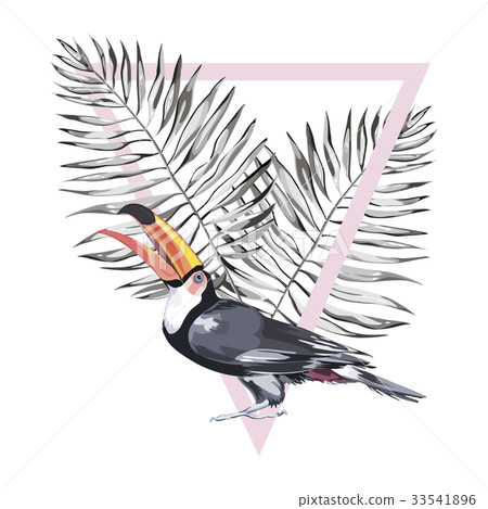 Toucan with tropical leaf and coconut. Element for Toucan with tropical leaf and coconut. Element for 33541896