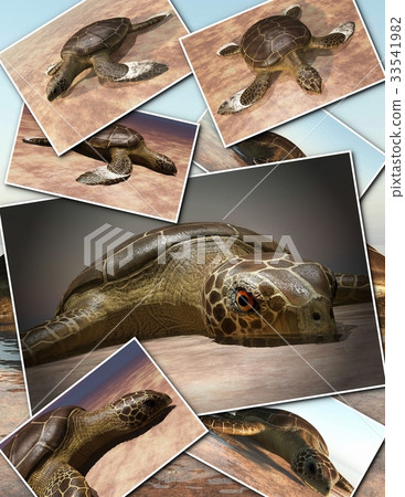 Sea turtle laying eggs on the beach - collage 3d Sea turtle laying eggs on the beach - collage 3d 33541982