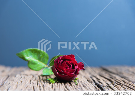 Red roses on wood Red roses on wood 33542702