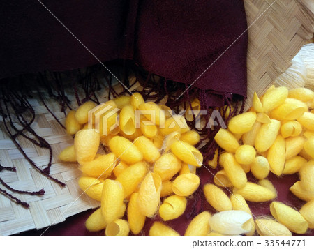 Golden cocoon in a basket Golden cocoon in a basket 33544771