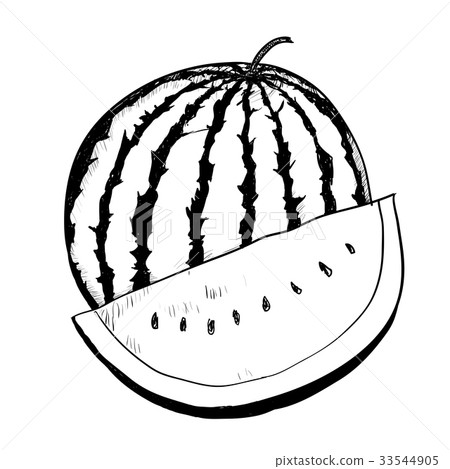 Hand drawing Watermelon -Vector Drawn Illustration Hand drawing Watermelon -Vector Drawn Illustration 33544905
