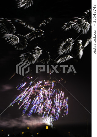 Akita Prefecture Omagari Fireworks Festival 33548748
