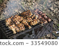 Grilled meat coals and logs 33549080