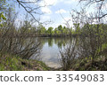 Landscape river, dry, green bushes 33549083