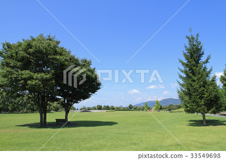 公園有一個大草廣場 照片素材 圖片 圖庫