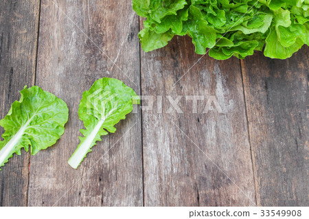 chinese cabbage organic vegetables on wooden table 33549908