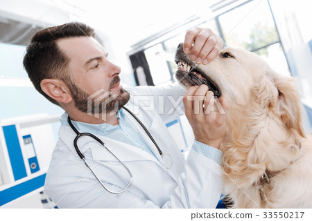 Serious doctor opening mouth of his patient Serious doctor opening mouth of his patient 33550217