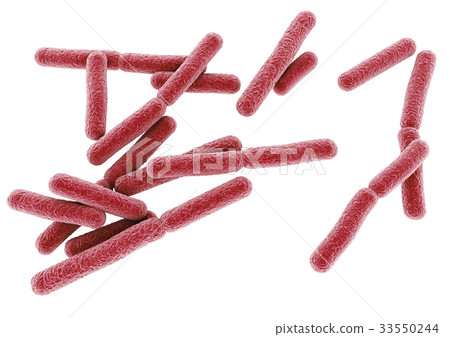 Bacterial virus Bacterial virus 33550244