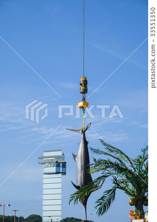 Fishing Fishing Squid Tuna Ibaraki Building Fishing Tournament Fishing Fishing Squid Tuna Ibaraki Building Fishing Tournament 33551350