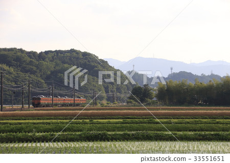 Shinetsu Main Line 115 series in early summer (Gunma Prefecture: Takasaki ⇔ Yokokawa) 33551651