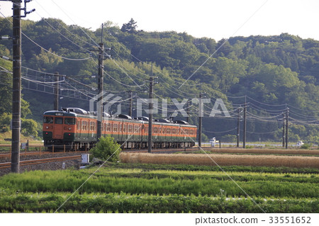 Shinetsu Main Line 115 series in early summer (Gunma Prefecture: Takasaki ⇔ Yokokawa) 33551652