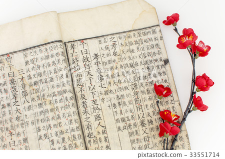Old book and plum blossoms 33551714