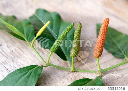 Long pepper or Piper longum on wooden table 33552036