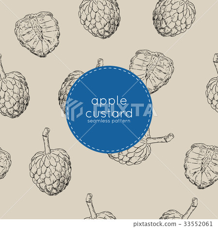 custard apple seamless pattern sketch vector. 33552061