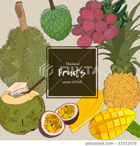 Thai-fruits sketch vector set. Thai-fruits sketch vector set. 33552078