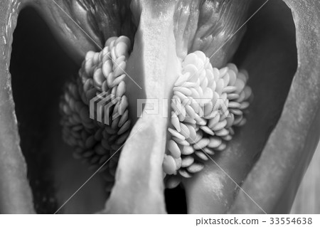 辣椒粉種子 辣椒粉種子 33554638