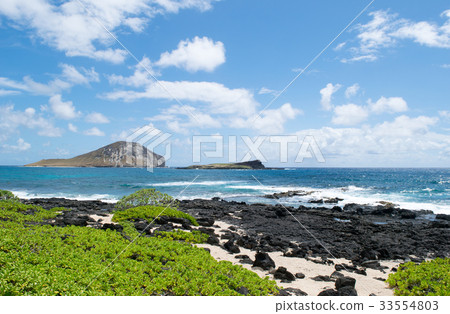 Hawaii Oahu Makapuu Beach Park Lava Reef 33554803
